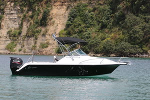 day-cruiser fueraborda