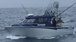 barco profesional barco de pesca profesional