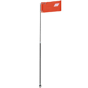 bandera