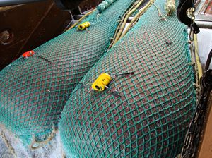 red de pesca 1