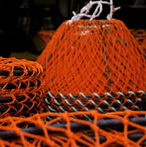 taquilla para cangrejos
