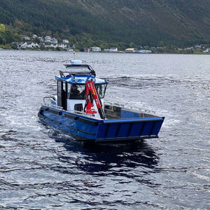 barco profesional embarcación de servicio