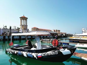 barco profesional barco de pesca profesional / barco de trabajo / barco utilitario / barco para acuicultura