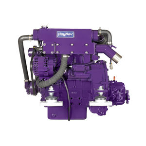motor intraborda 1