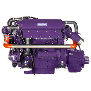 motor intraborda 1