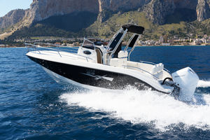 cabin-cruiser fueraborda 1
