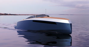 day-cruiser fueraborda