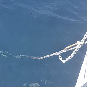 fijación para cadena
