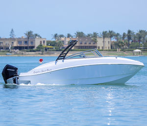 runabout fueraborda