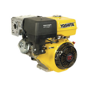 motor intraborda 1