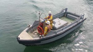 barco profesional minirremolcador 1