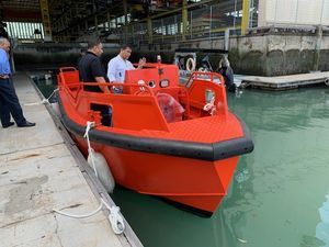 barco profesional minirremolcador 1