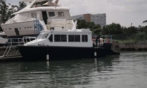 barco profesional transbordador 1