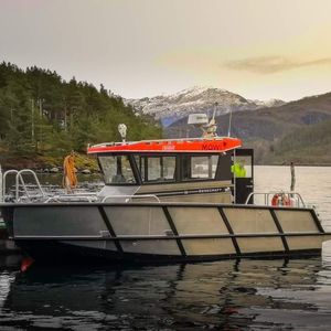 barco de pesca profesional