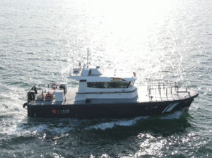 barco profesional embarcación piloto