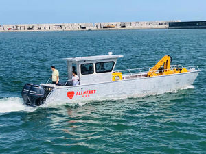 barco profesional barco de desembarco 1