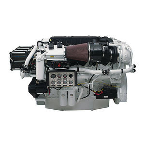 motor intraborda 1