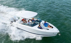 runabout fueraborda