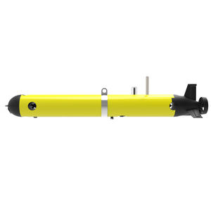 AUV