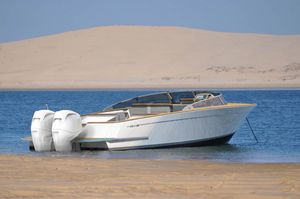 runabout fueraborda