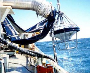 bomba para descarga de pescado de transferencia