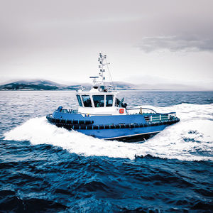 barco profesional remolcador