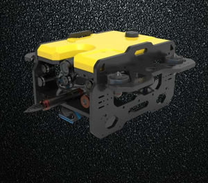 ROV de observación 1