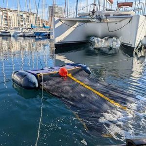 vehículo no tripulado marino para la recogida de residuos