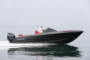 day-cruiser fueraborda