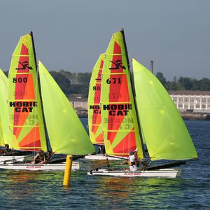 catamarán deportivo de regata / para escuela / múltiple / spinnaker asimétrico