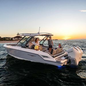 runabout fueraborda
