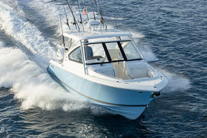 runabout fueraborda