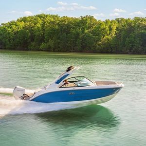 runabout fueraborda 1