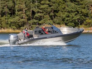 runabout fueraborda