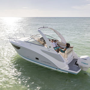 cabin-cruiser fueraborda