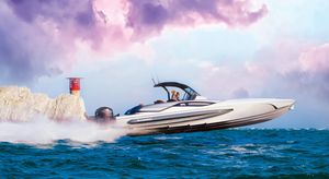 barco cabinado fueraborda / bimotor / casco con peldaños / open