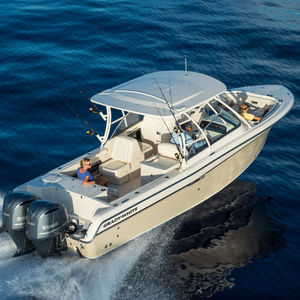 runabout fueraborda 1