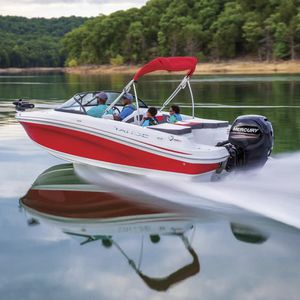 runabout fueraborda