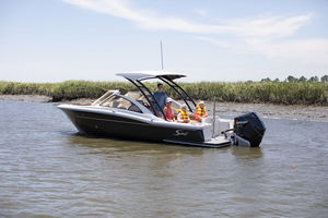 runabout fueraborda