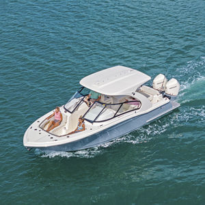 runabout fueraborda