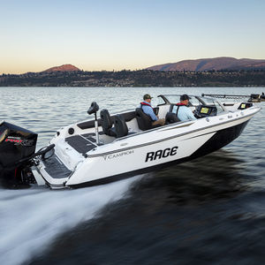 runabout fueraborda