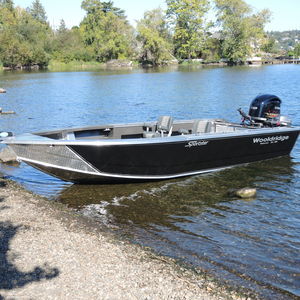 barco de motor de pesca-paseo fueraborda