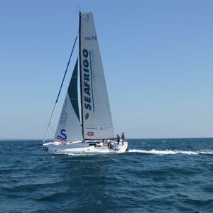 velero de regata