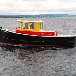 barco de motor de pesca-paseo intraborda