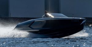 runabout intraborda 1