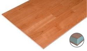 panel sándwich para suelo interior 1