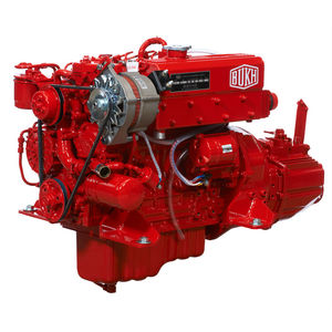 motor intraborda 1