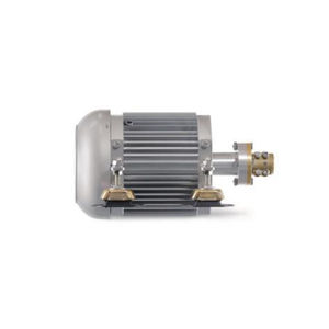 motor intraborda / recreo / profesional / eléctrico