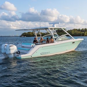 runabout fueraborda 1