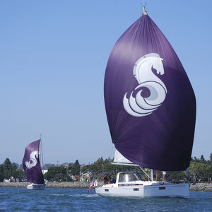 spinnaker asimétrico
